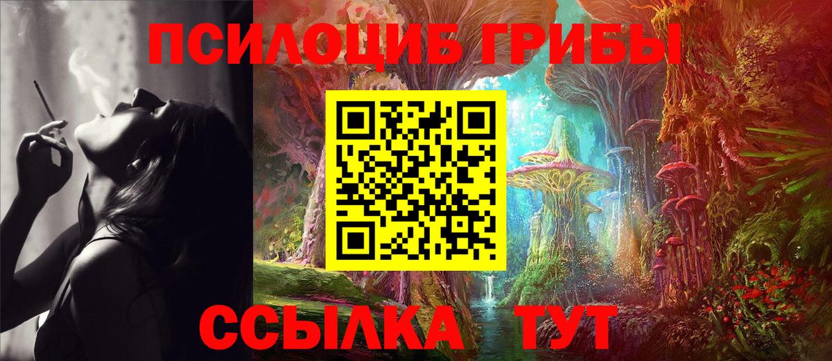 Новокубанск  Псилоцибиновые грибы мухоморы  Вход с VPN 