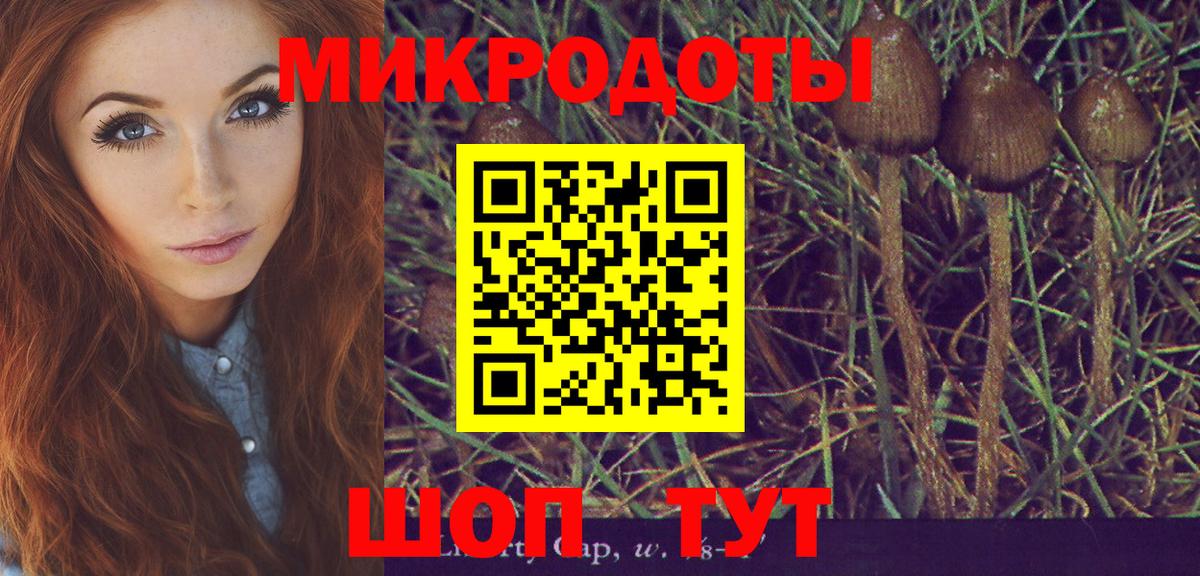 Галлюциногенные грибы GOLDEN TEACHER Новокубанск